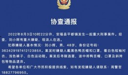 江西大学生爆料案件最新,揭开校园安全隐秘面纱