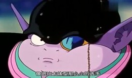 吃瓜娱乐的喵,喵星人的吃瓜娱乐大揭秘